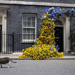 Dan neovinosti Ukrajine u Londonu