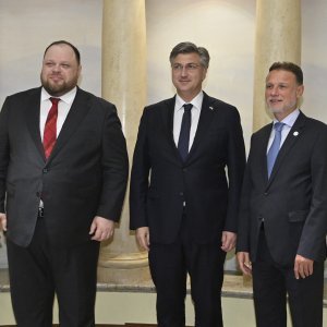 Ruslan Stefančuk, Andrej Plenković, Gordan Jandroković