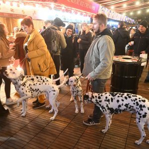 Otvaranje klizališta na Trgu kralja Tomislava povodom Adventa 2022