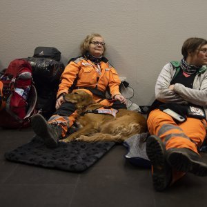 Spasilačke službe putuju prema Turskoj