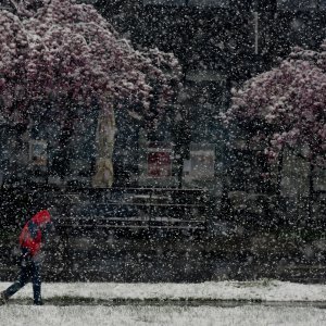 Na današnji dan prije dvije godine Hrvatsku je zabijelio snijeg