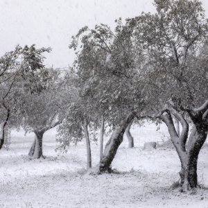 Na današnji dan prije dvije godine Hrvatsku je zabijelio snijeg