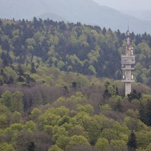 Pogled na Medvednicu i Zagreb s tornja na Sljemenu