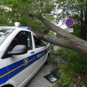 Šibenik: Jak vjetar srušio veliko drvo i razbio policijski kombi