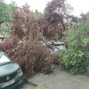 Posljedice nevremena u kvartu Središće