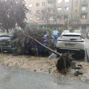 Posljedice nevremena u kvartu Središće