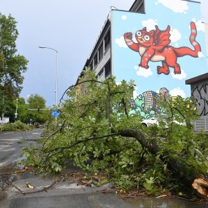 Posljednice nevremena kod Selske ceste