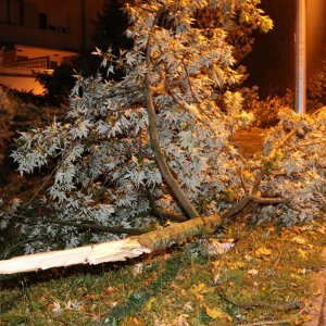 Posljedice nevremena u Španskom