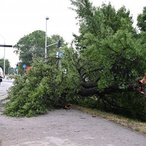 Zagreb dan nakon nevremena sanira štetu