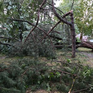 Zagreb dan nakon nevremena sanira štetu