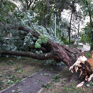 Zagreb dan nakon nevremena sanira štetu