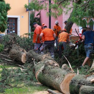 Jak vjetar popraćen obilnom kišom poharao Novigrad i okolicu