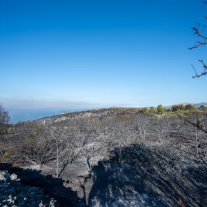 Posljedice velikog požara na Čiovu