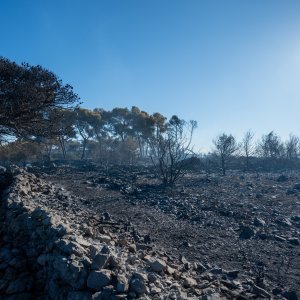 Posljedice velikog požara na Čiovu