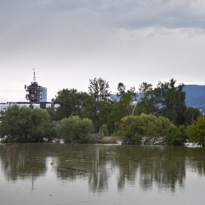 Rijeka Sava se izlila iz svog korita