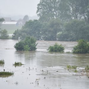 Sava poplavila nasip ispod Domovinskog mosta