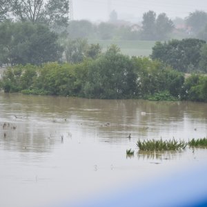 Sava poplavila nasip ispod Domovinskog mosta