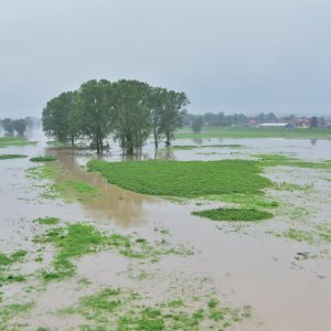 Sava poplavila nasip ispod Domovinskog mosta