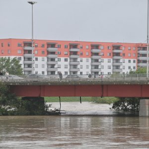 Sava u Zagrebu