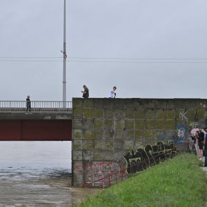 Sava u Zagrebu