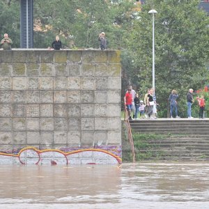 Sava u Zagrebu