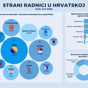 Strani radnici