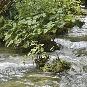 Plitvička jezera