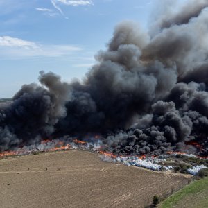 Požar u Osijeku, Drava International