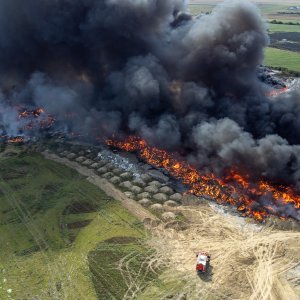 Požar u Osijeku, Drava International