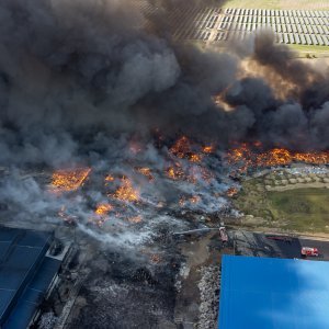 Požar u Osijeku, Drava International