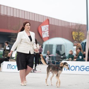 CAC nacionalna izložba pasa