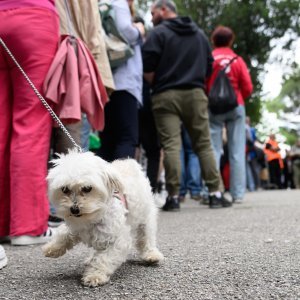 Prvi maj u Hrvatskoj