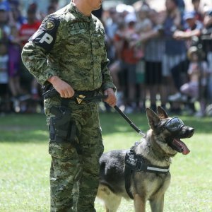 Pokazne vježbe sposobnosti Hrvatske vojske i policije povodom Dana državnosti i Dana vojske