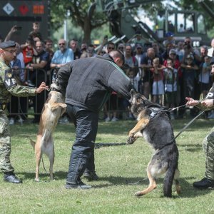 Pokazne vježbe sposobnosti Hrvatske vojske i policije povodom Dana državnosti i Dana vojske