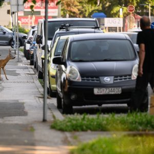 Srndać luta Zagrebom