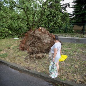 Oluja u Zagrebu 19. srpnja 2024.