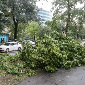 Oluja u Zagrebu 19. srpnja 2024.