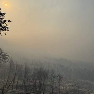 Apokaliptične fotografije uništene šume parka Biokovo