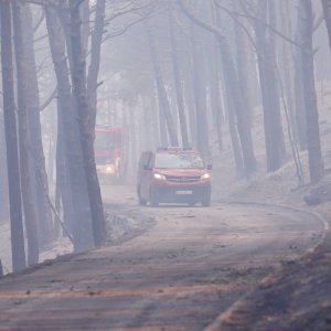 Apokaliptične fotografije uništene šume parka Biokovo