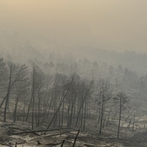 Apokaliptične fotografije uništene šume parka Biokovo