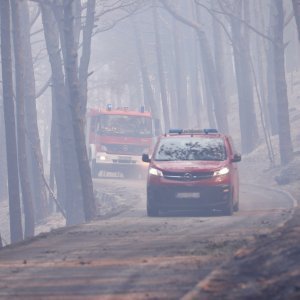 Apokaliptične fotografije uništene šume parka Biokovo