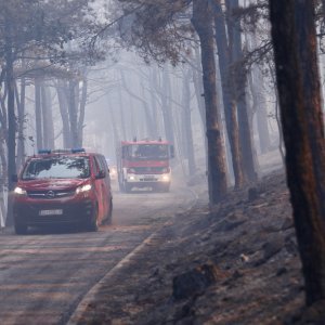 Apokaliptične fotografije uništene šume parka Biokovo