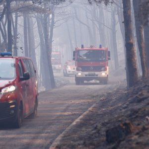 Apokaliptične fotografije uništene šume parka Biokovo