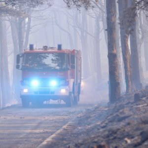 Apokaliptične fotografije uništene šume parka Biokovo