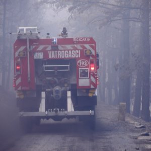 Apokaliptične fotografije uništene šume parka Biokovo