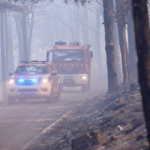 Apokaliptične fotografije uništene šume parka Biokovo