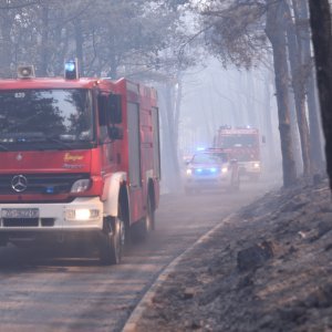 Apokaliptične fotografije uništene šume parka Biokovo