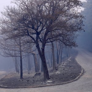 Apokaliptične fotografije uništene šume parka Biokovo