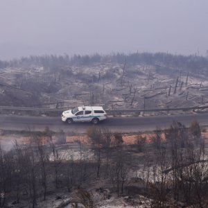 Apokaliptične fotografije uništene šume parka Biokovo