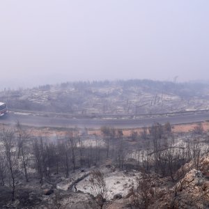 Apokaliptične fotografije uništene šume parka Biokovo